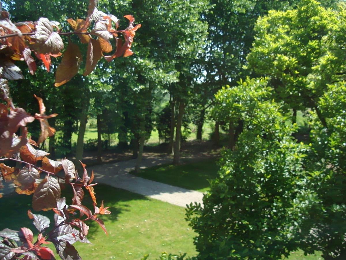 B&B Chateau Bagatelle Frasnes-lez-Anvaing Bagian luar foto