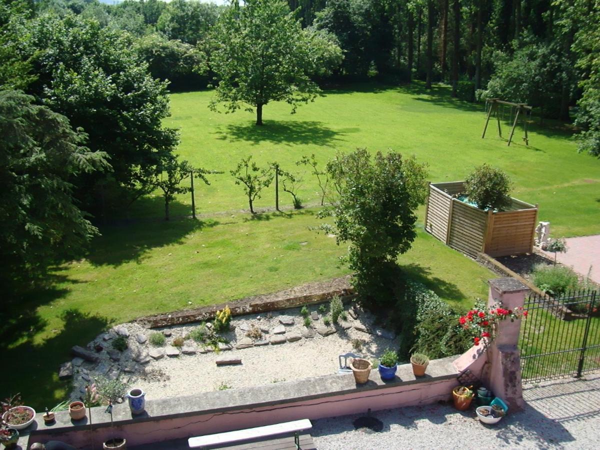 B&B Chateau Bagatelle Frasnes-lez-Anvaing Bagian luar foto